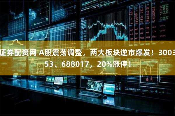 证券配资网 A股震荡调整，两大板块逆市爆发！300353、688017，20%涨停！