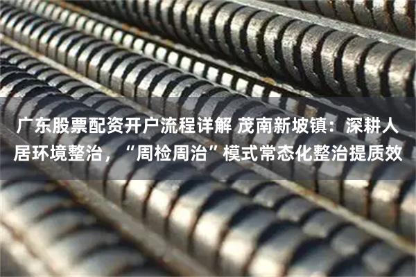 广东股票配资开户流程详解 茂南新坡镇：深耕人居环境整治，“周检周治”模式常态化整治提质效