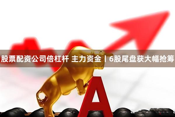 股票配资公司倍杠杆 主力资金丨6股尾盘获大幅抢筹